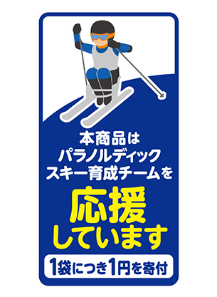 ノルディックスキー