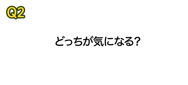 Q2 どっちが気になる？