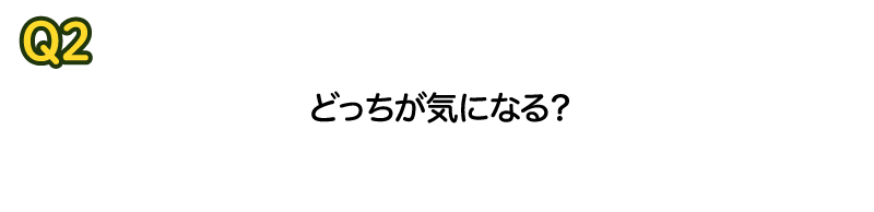 Q2 どっちが気になる？