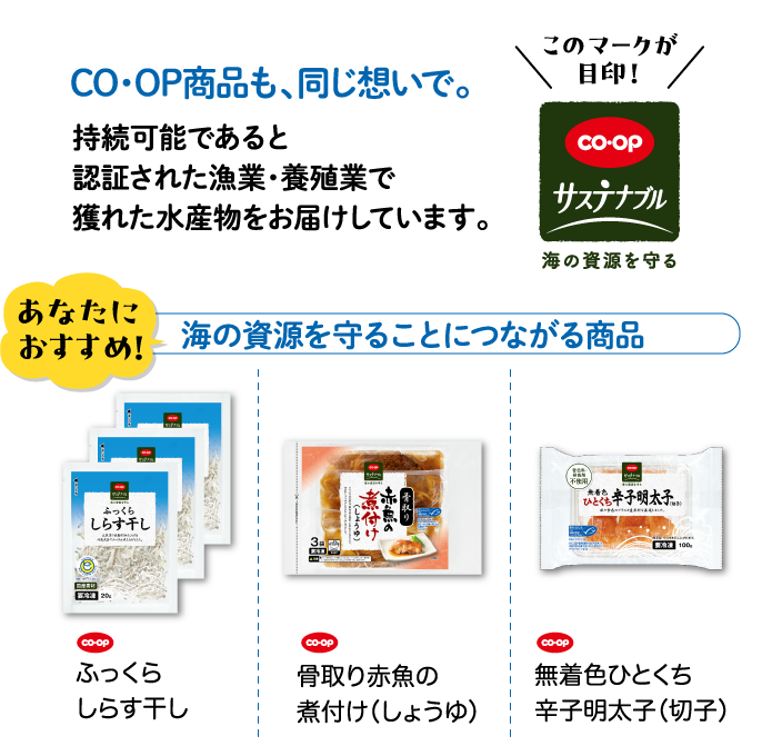 CO・OP商品も、同じ想いで。持続可能であると認証された漁業・養殖業で獲れた水産物をお届けしています。 このマークが目印！CO・OPサステナブル 海の資源を守る あなたにおすすめ！ 海の資源を守ることにつながる商品 CO・OP ふっくらしらす干し CO・OP 骨取り赤魚の煮付け（しょうゆ） CO・OP 無着色ひとくち辛子明太子（切子）