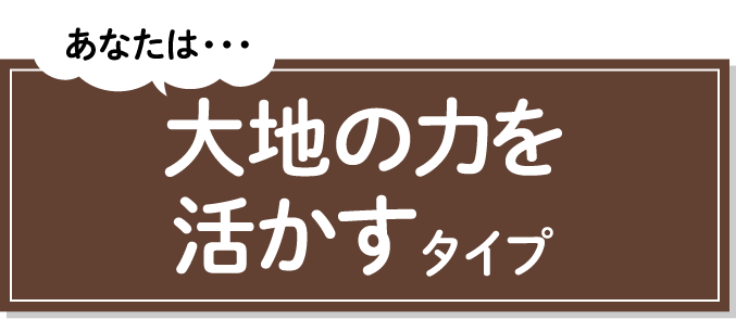 あなたは・・・大地の力を活かすタイプ