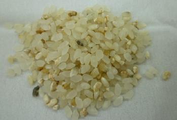 お米を袋のまま保管していたら 中から黄色っぽいお米やお米 の固まりが出てきました これは何でしょうか コープ商品のｑ ａ お問い合わせ コープ商品サイト 日本生活協同組合連合会