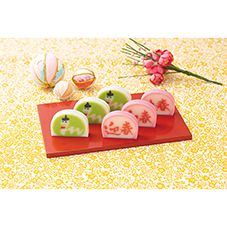 おとうふかまぼこ 直江商店 真打 おうち買い5枚セット 宮城県 お