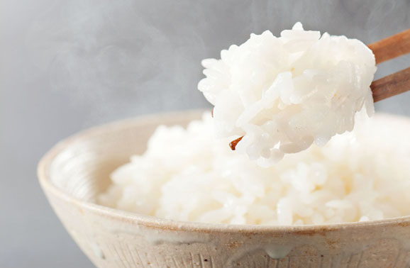 おいしいご飯 山形県産はえぬき使用 3個パック コープ商品を探す コープ商品サイト 日本生活協同組合連合会 おいしいご飯 山形県産はえぬき使用 3個パック コープ商品を探す コープ商品サイト 日本生活協同組合連合会