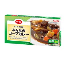 みんなのコープカレー　中辛　８皿　