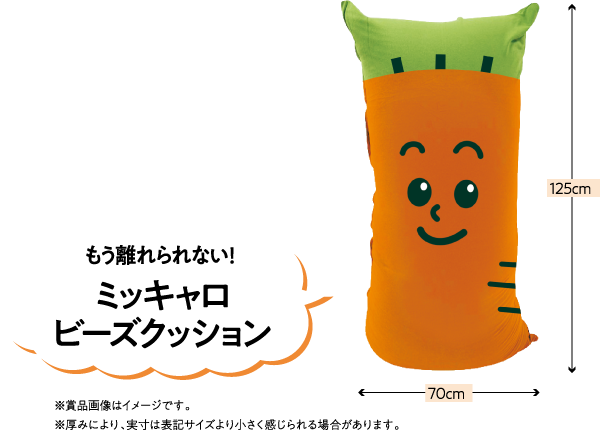 もう離れられない！ミッキャロビーズクッション 幅70m 高さ125cm ※賞品画像はイメージです。※厚みにより、実寸は表記サイズより小さく感じられる場合があります。