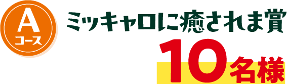 Aコース ミッキャロに癒されま賞 10名様