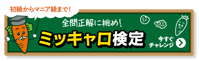 初級からマニア級まで！全問正解に挑め！ミッキャロ検定 今すぐチャレンジ