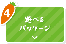 4 遊べるパッケージ