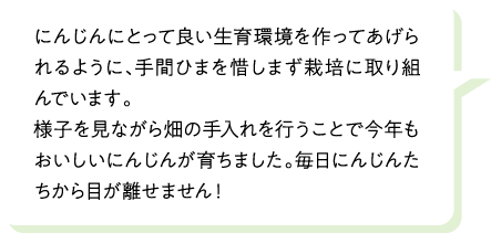 にんじんにとって良い生育環境を作ってあげられるように、手間ひまを惜しまず栽培に取り組んでいます。様子を見ながら畑の手入れを行うことで今年もおいしいにんじんが育ちました。毎日にんじんたちから目が離せません！