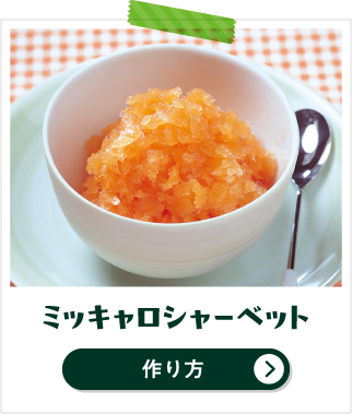 ミッキャロシャーベット 作り方