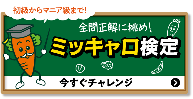 初級からマニア級まで！全問正解に挑め！ミッキャロ検定 今すぐチャレンジ