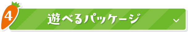 4 遊べるパッケージ