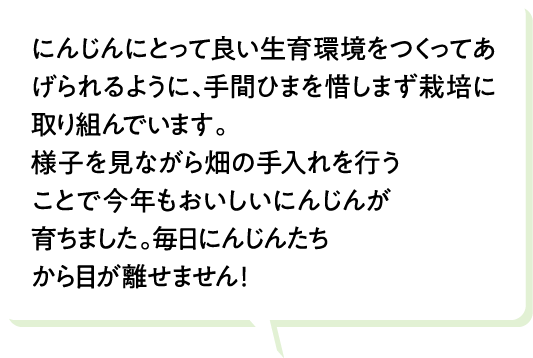 にんじんにとって良い生育環境を作ってあげられるように、手間ひまを惜しまず栽培に取り組んでいます。様子を見ながら畑の手入れを行うことで今年もおいしいにんじんが育ちました。毎日にんじんたちから目が離せません！
