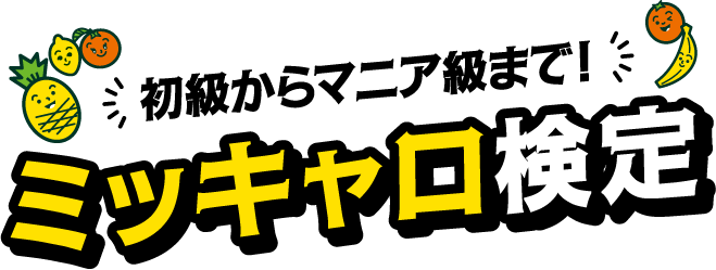 初級からマニア級まで！ミッキャロ検定