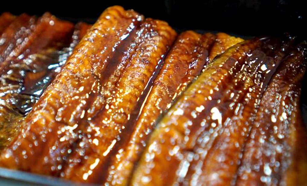 うなぎの養殖池に行ってみたら、まさかのビニールハウスだった！