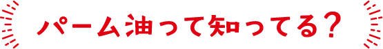 パーム油って知ってる？