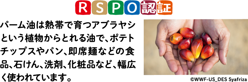 RSPO認証 パーム油は熱帯で育つアブラヤシという植物からとれる油で、ポテトチップスやパン、即席麺などの食品、石けん、洗剤、化粧品など、幅広く使われています。 ©WWF-US_DES Syafriza