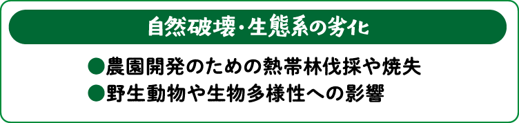 【自然破壊・生態系の劣化】●農園開発のための熱帯林伐採や焼失 ●野生動物や生物多様性への影響