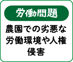 【労働問題】農園での劣悪な労働環境や人権侵害
