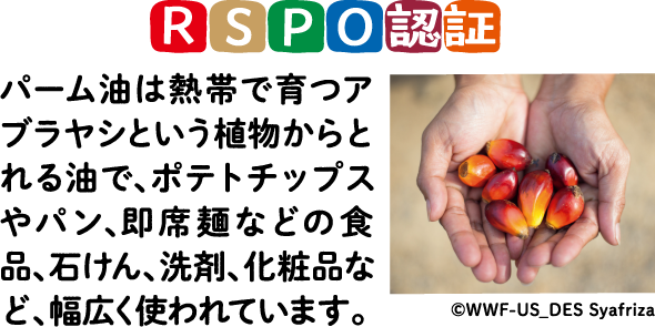 RSPO認証 パーム油は熱帯で育つアブラヤシという植物からとれる油で、ポテトチップスやパン、即席麺などの食品、石けん、洗剤、化粧品など、幅広く使われています。 ©WWF-US_DES Syafriza