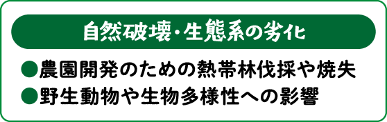 【自然破壊・生態系の劣化】●農園開発のための熱帯林伐採や焼失 ●野生動物や生物多様性への影響