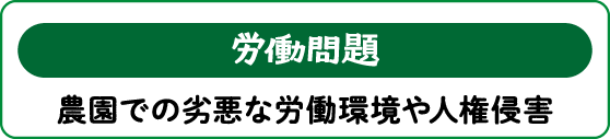 【労働問題】農園での劣悪な労働環境や人権侵害
