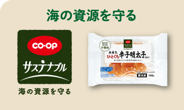 海の資源を守る（CO・OP サステナブル 海の資源を守る）