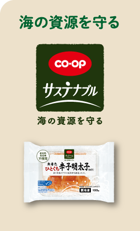 海の資源を守る（CO・OP サステナブル 海の資源を守る）