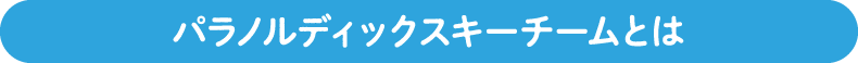パラノルディックスキーチームとは