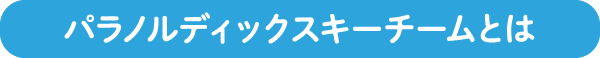 パラノルディックスキーチームとは