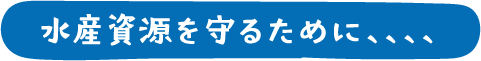 水産資源を守るために、、、、