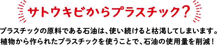 サトウキビからプラスチック？ プラスチックの原料である石油は、使い続けると枯渇してしまいます。植物から作られたプラスチックを使うことで、石油の使用量を削減！