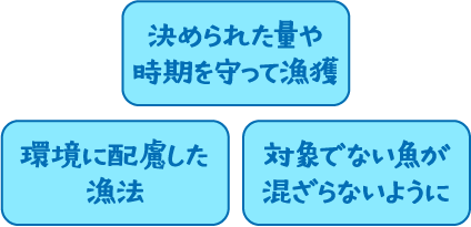 【決められた量や時期を守って漁獲】【決められた量や時期を守って漁獲】【対象でない魚が混ざらないように】