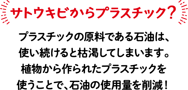 サトウキビからプラスチック？ プラスチックの原料である石油は、使い続けると枯渇してしまいます。植物から作られたプラスチックを使うことで、石油の使用量を削減！